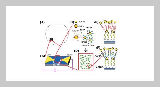 Ultrasensitive Electrical DNA Identification with Bio-Bar-Code DNA and Nanoparticles in Nanogap Device