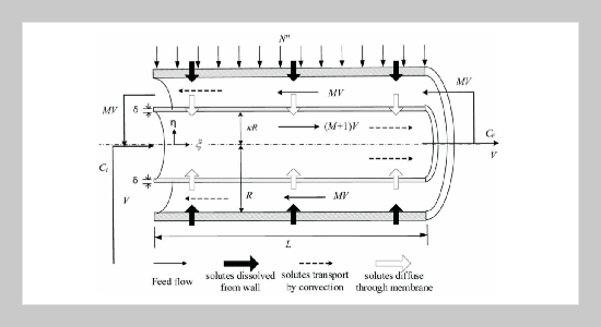 Improvement in Device Performance of Double-Pass Concentric Circular Mass Exchanger with an Idealized Membrane Inserted
