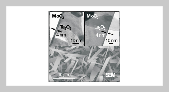 A Comparison Study on Hydrogen Sensing Performance of MoO3 Nanoplatelets Coated with a Thin Layer of Ta2O5 or La2O3
