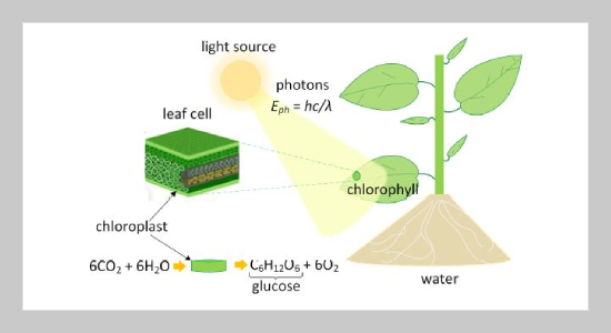 Photosynthetically Active Radiation (PAR): A Review of Sensing Solutions