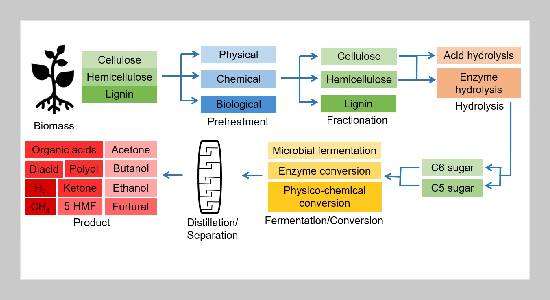 Biorefinery approaches for production of cellulosic ethanol fuel using recombinant engineered microorganisms