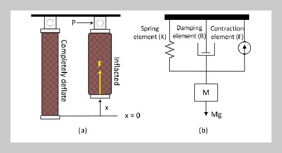 Prescribed Performance Function Based Sliding Mode Control of Opposing Pneumatic Artificial Muscles to Enhance Safety
