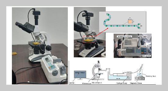 Experimental Investigation of Particle Sorting in Y-Channels with Variable Bifurcation Angles for Microfluidic Applications