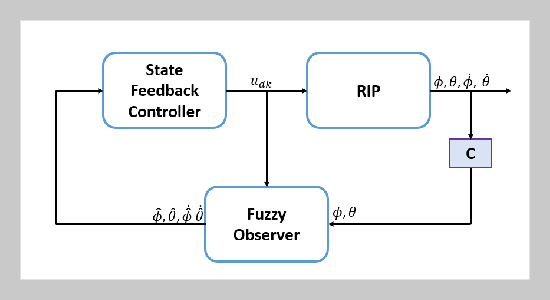 Observer Design for RIP Stability Using Takagi-Sugeno Fuzzy Model and Mean Value Theorem