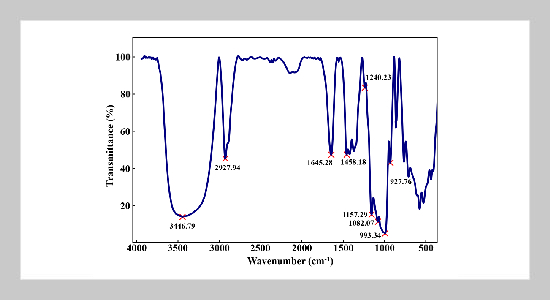 Sorghum Starch: From Extraction and Characterization to Eco-friendly Adhesive for Particleboard Manufacturing (Revision: Characterization of Sorghum Starch as a Potential Bio-based Adhesive for Particleboard Manufacturing)