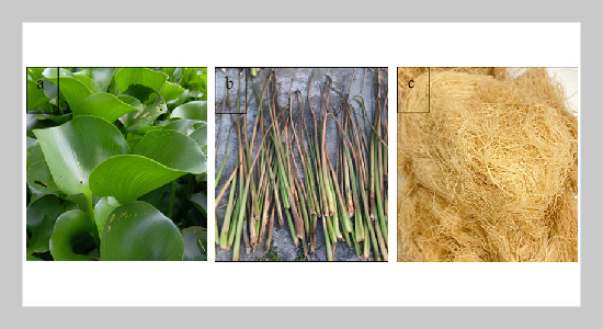 The Effectiveness Of Alkali Ttreatment  And Dispersing Agents In Enhancing The Mechanical Performance Of HDPE/Water Hyacinth Fiber Biocomposites