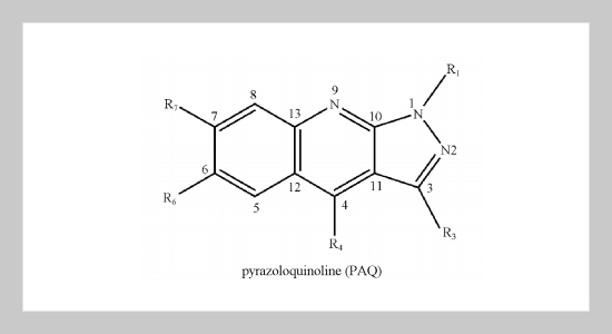 Theoretical Investigation of Pyrazolo[3,4-b]quinoline Derivatives as Emitting Materials