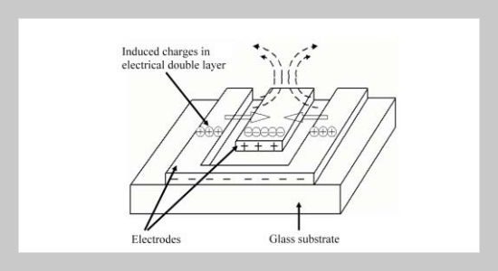 Micro Capillary Electrophoresis Chips with Sample Pre-concentration Devices Utilizing Alternating Current (AC) Electroosmosis Effect