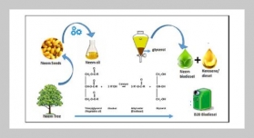 Experimental Study On The Cold Flow Behaviour Of Azadirachta Indica (NEEM) Biodiesel Blended With Petroleum-based Fuels And Natural Organic Solvents