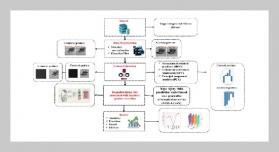 Yoga injury risk prediction model based on generative adversarial network